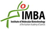 Logo IMBA